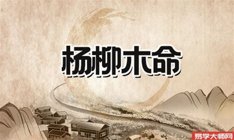 楊柳木命意思|杨柳木命代表什么意思